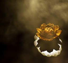 订婚黄道吉日查询精算 算订婚日子免费？