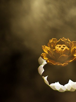 男女订婚吉日怎么选最好 2021年订婚日子怎么选？