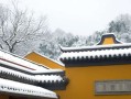 属鸡人流年运势 属鸡人流年命运？