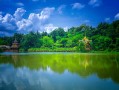 梦见自己被狗 梦见自己被别人的狗咬了预示着什么？