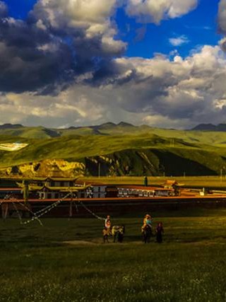 订婚吉日属狗的好吗女生 2021年属狗订婚吉日？