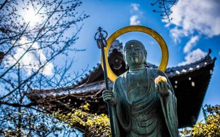 梦见鱼放生 梦见鱼放生好不好？