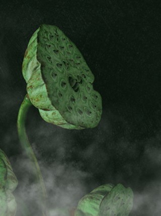 2026年十一月订婚吉日 2021年11月订婚吉日一览表？