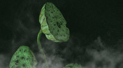 订婚吉日测算免费 订婚吉日测算免费下载？