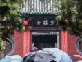 剑锋金命的事业运程 剑锋金命适合在哪个方向发展？