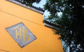 梦见变成龙 梦见变成龙飞走了？